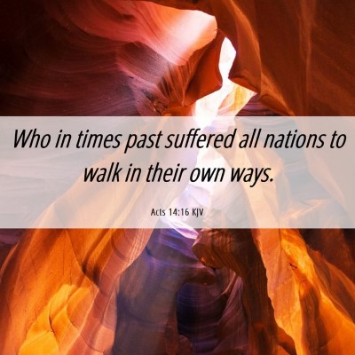 Picture 06 - Acts 14:16 KJV - Who in times past suffered all nations to walk in - Bible Verse Picture
