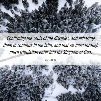 Picture 06 - Acts 14:22 KJV - Confirming the souls of the disciples, and - Bible Verse Picture