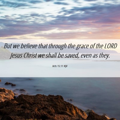Picture 06 - Acts 15:11 KJV - But we believe that through the grace of the LORD - Bible Verse Picture