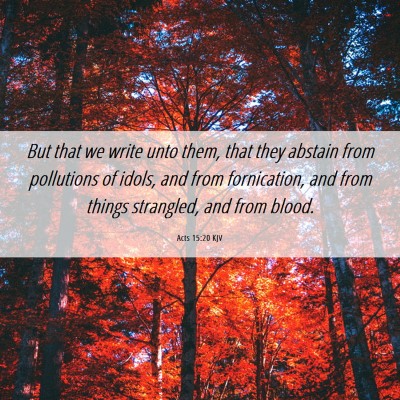 Picture 06 - Acts 15:20 KJV - But that we write unto them, that they abstain - Bible Verse Picture