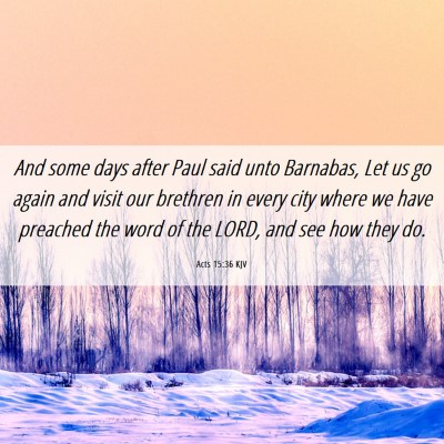 Picture 06 - Acts 15:36 KJV - And some days after Paul said unto Barnabas, Let - Bible Verse Picture