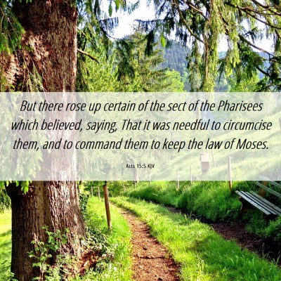 Picture 06 - Acts 15:5 KJV - But there rose up certain of the sect of the - Bible Verse Picture