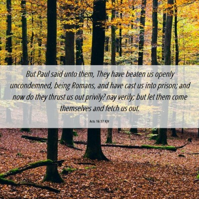 Picture 06 - Acts 16:37 KJV - But Paul said unto them, They have beaten us - Bible Verse Picture