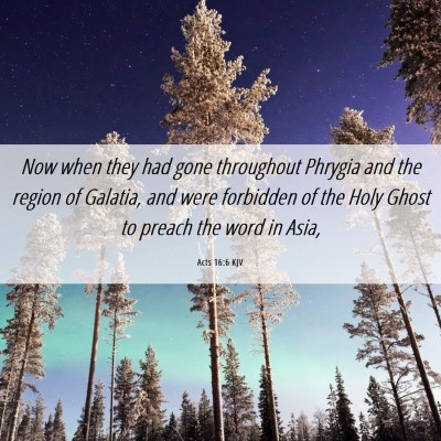 Picture 06 - Acts 16:6 KJV - Now when they had gone throughout Phrygia and the - Bible Verse Picture