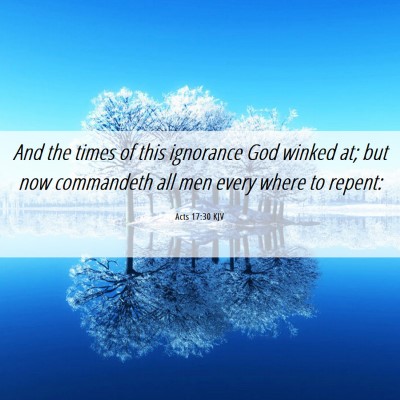 Picture 06 - Acts 17:30 KJV - And the times of this ignorance God winked at; - Bible Verse Picture
