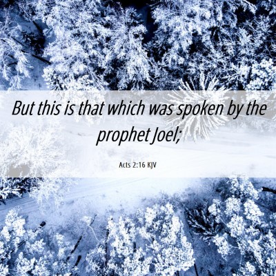 Picture 06 - Acts 2:16 KJV - But this is that which was spoken by the prophet - Bible Verse Picture