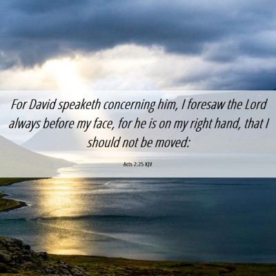 Picture 06 - Acts 2:25 KJV - For David speaketh concerning him, I foresaw the - Bible Verse Picture