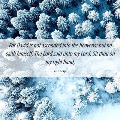 Picture 06 - Acts 2:34 KJV - For David is not ascended into the heavens: but - Bible Verse Picture