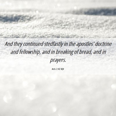 Picture 06 - Acts 2:42 KJV - And they continued stedfastly in the apostles' - Bible Verse Picture