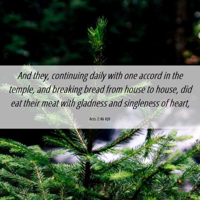Picture 06 - Acts 2:46 KJV - And they, continuing daily with one accord in the - Bible Verse Picture