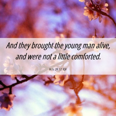 Picture 06 - Acts 20:12 KJV - And they brought the young man alive, and were - Bible Verse Picture