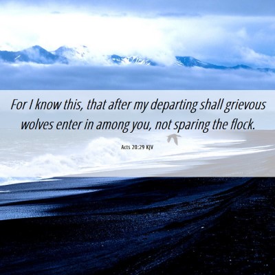 Picture 06 - Acts 20:29 KJV - For I know this, that after my departing shall - Bible Verse Picture