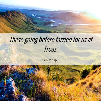 Picture 06 - Acts 20:5 KJV - These going before tarried for us at - Bible Verse Picture