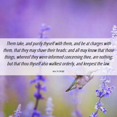 Picture 06 - Acts 21:24 KJV - Them take, and purify thyself with them, and be - Bible Verse Picture