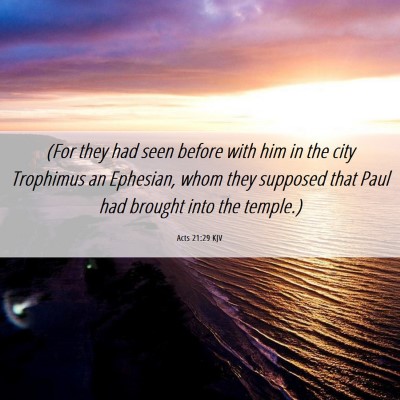 Picture 06 - Acts 21:29 KJV - (For they had seen before with him in the city - Bible Verse Picture