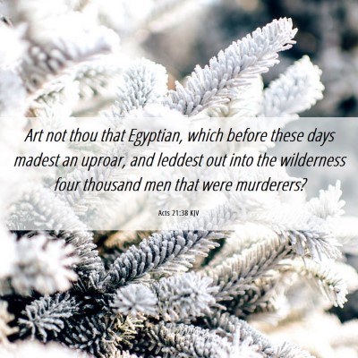 Picture 06 - Acts 21:38 KJV - Art not thou that Egyptian, which before these - Bible Verse Picture