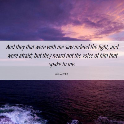 Picture 06 - Acts 22:9 KJV - And they that were with me saw indeed the light, - Bible Verse Picture