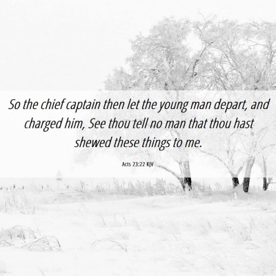 Picture 06 - Acts 23:22 KJV - So the chief captain then let the young man - Bible Verse Picture