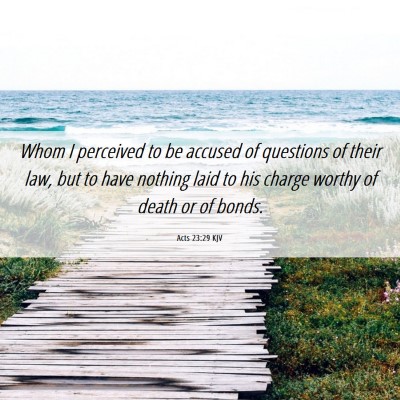 Picture 06 - Acts 23:29 KJV - Whom I perceived to be accused of questions of - Bible Verse Picture