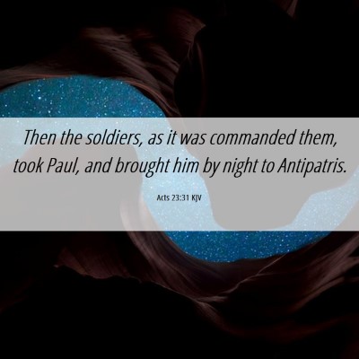 Picture 06 - Acts 23:31 KJV - Then the soldiers, as it was commanded them, took - Bible Verse Picture
