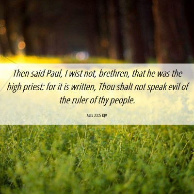 Picture 06 - Acts 23:5 KJV - Then said Paul, I wist not, brethren, that he was - Bible Verse Picture