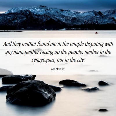Picture 06 - Acts 24:12 KJV - And they neither found me in the temple disputing - Bible Verse Picture