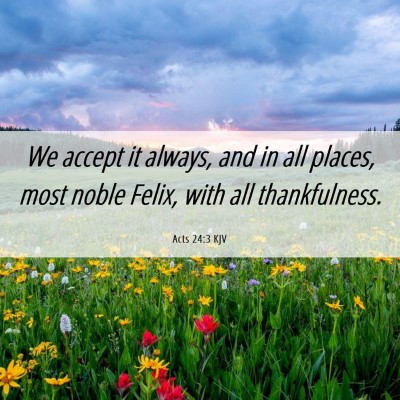 Picture 06 - Acts 24:3 KJV - We accept it always, and in all places, most - Bible Verse Picture