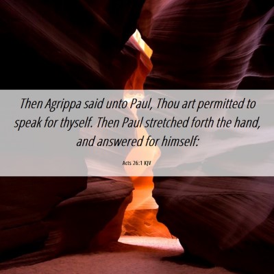 Picture 06 - Acts 26:1 KJV - Then Agrippa said unto Paul, Thou art permitted - Bible Verse Picture