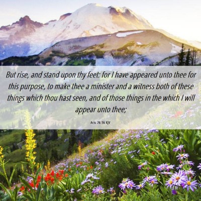 Picture 06 - Acts 26:16 KJV - But rise, and stand upon thy feet: for I have - Bible Verse Picture