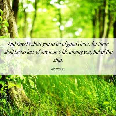 Picture 06 - Acts 27:22 KJV - And now I exhort you to be of good cheer: for - Bible Verse Picture