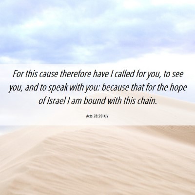 Picture 06 - Acts 28:20 KJV - For this cause therefore have I called for you, - Bible Verse Picture