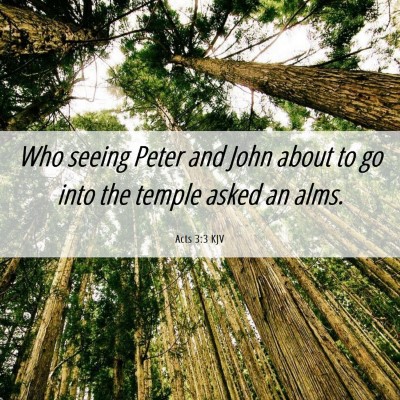 Picture 06 - Acts 3:3 KJV - Who seeing Peter and John about to go into the - Bible Verse Picture