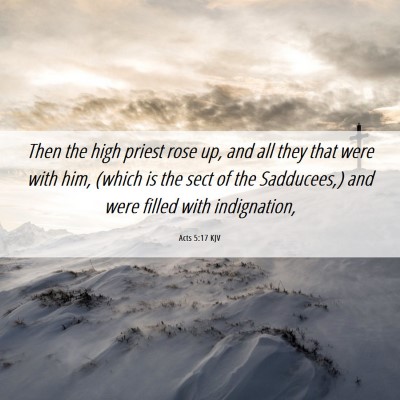Picture 06 - Acts 5:17 KJV - Then the high priest rose up, and all they that - Bible Verse Picture