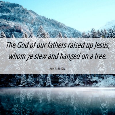 Picture 06 - Acts 5:30 KJV - The God of our fathers raised up Jesus, whom ye - Bible Verse Picture