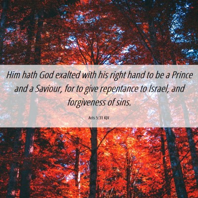 Picture 06 - Acts 5:31 KJV - Him hath God exalted with his right hand to be a - Bible Verse Picture