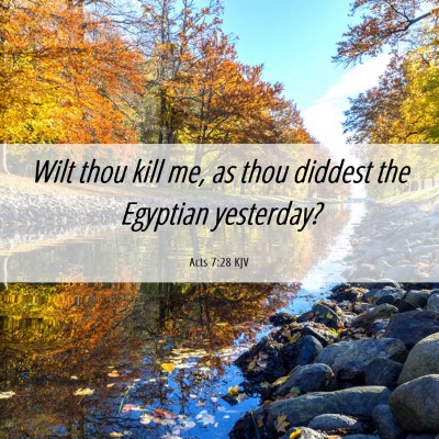 Picture 06 - Acts 7:28 KJV - Wilt thou kill me, as thou diddest the Egyptian - Bible Verse Picture