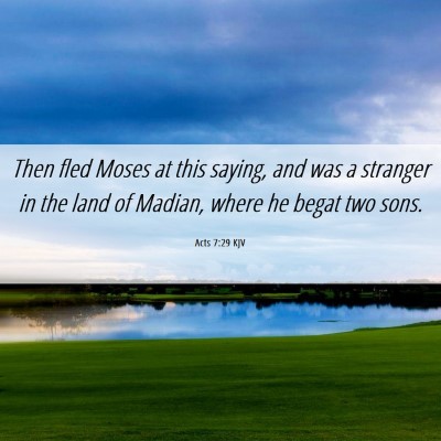 Picture 06 - Acts 7:29 KJV - Then fled Moses at this saying, and was a - Bible Verse Picture