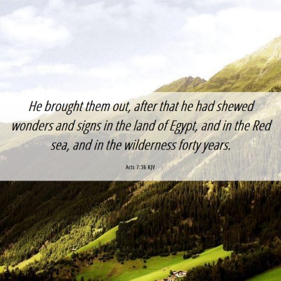 Picture 06 - Acts 7:36 KJV - He brought them out, after that he had shewed - Bible Verse Picture