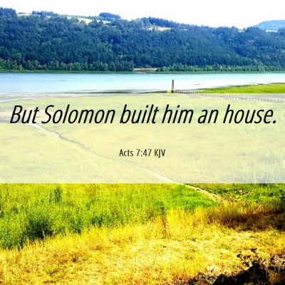 Picture 06 - Acts 7:47 KJV - But Solomon built him an - Bible Verse Picture