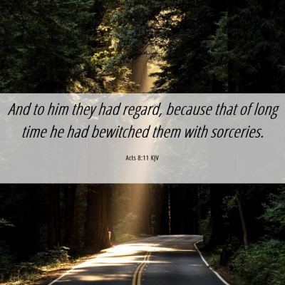 Picture 06 - Acts 8:11 KJV - And to him they had regard, because that of long - Bible Verse Picture