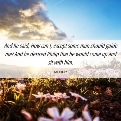 Picture 06 - Acts 8:31 KJV - And he said, How can I, except some man should - Bible Verse Picture