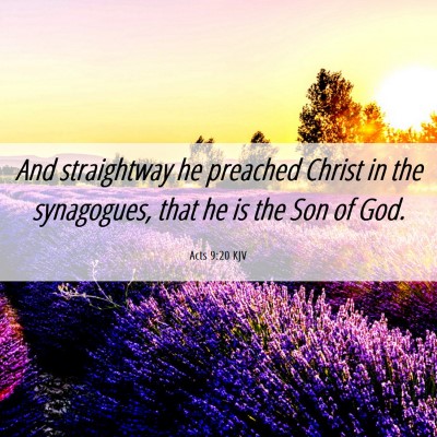 Picture 06 - Acts 9:20 KJV - And straightway he preached Christ in the - Bible Verse Picture