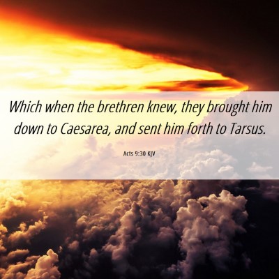 Picture 06 - Acts 9:30 KJV - Which when the brethren knew, they brought him - Bible Verse Picture
