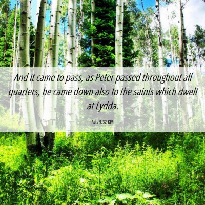 Picture 06 - Acts 9:32 KJV - And it came to pass, as Peter passed throughout - Bible Verse Picture