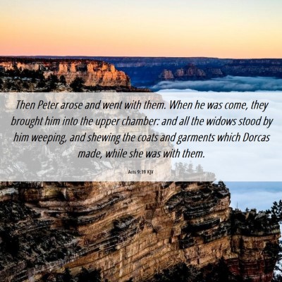 Picture 06 - Acts 9:39 KJV - Then Peter arose and went with them. When he was - Bible Verse Picture