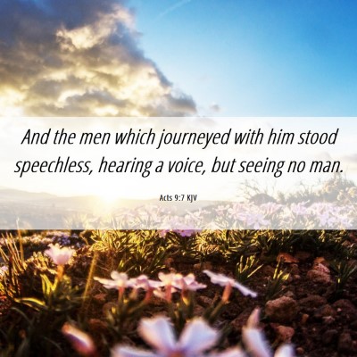 Picture 06 - Acts 9:7 KJV - And the men which journeyed with him stood - Bible Verse Picture