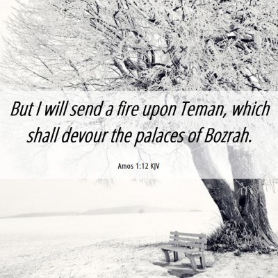 Picture 06 - Amos 1:12 KJV - But I will send a fire upon Teman, which shall - Bible Verse Picture