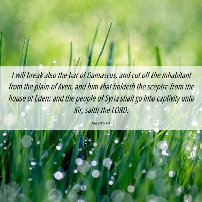 Picture 06 - Amos 1:5 KJV - I will break also the bar of Damascus, and cut - Bible Verse Picture
