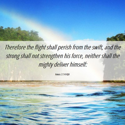 Picture 06 - Amos 2:14 KJV - Therefore the flight shall perish from the swift, - Bible Verse Picture