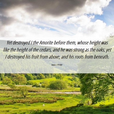 Picture 06 - Amos 2:9 KJV - Yet destroyed I the Amorite before them, whose - Bible Verse Picture